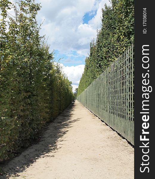 Walkway Lined with Trees and hurdle , Beautiful walk way with blue sky at Versaille in France , europe