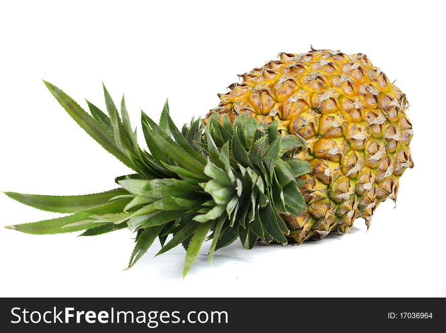 Pineapple