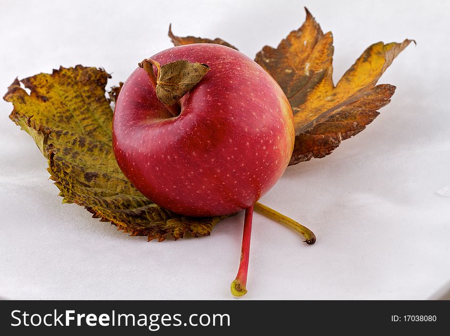 Braeburn apple with stalk and dead leaf on two autumn leaves. Braeburn apple with stalk and dead leaf on two autumn leaves