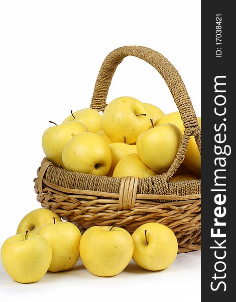 Harvesting. A basket with Yellow ripe apples