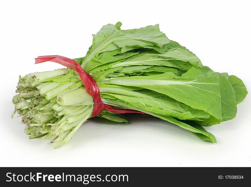 Green chinese cabbage on white background