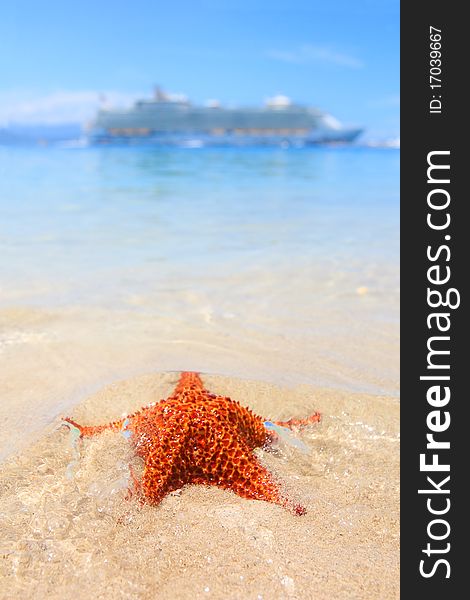 Turquise waters of the caribbean, starfish and the biggest cruiseship in the world in the background, beautiful tropical destination. Turquise waters of the caribbean, starfish and the biggest cruiseship in the world in the background, beautiful tropical destination
