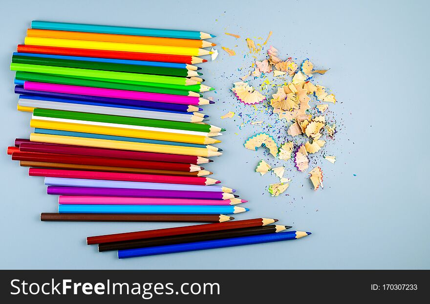 Sharpened multicolored pencils with wooden chips on a gray background