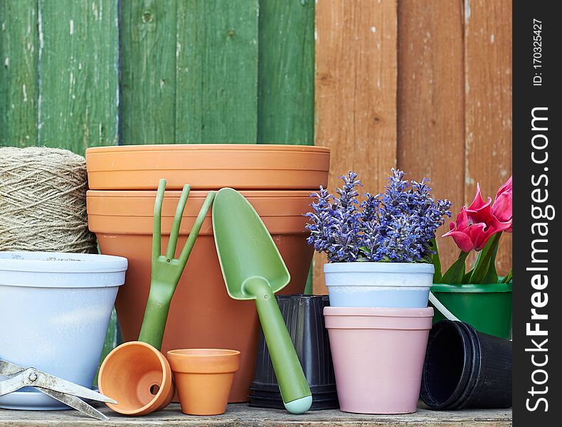 Gardening Tools And Flowers: Tulips, Terracotta Clay Flower Pots With Black Plastic Containers And Garden Tools On Wooden Table