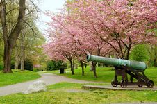 Cannon Park In Spring Royalty Free Stock Photography