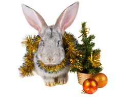 Gray Rabbit And Christmas Decorations Royalty Free Stock Photos Gray Rabbit And Christmas Decorations Royalty Free Stock Photos