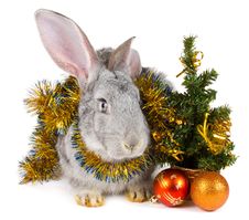 Rabbit And Christmas Decorations Royalty Free Stock Photo Rabbit And Christmas Decorations Royalty Free Stock Photo