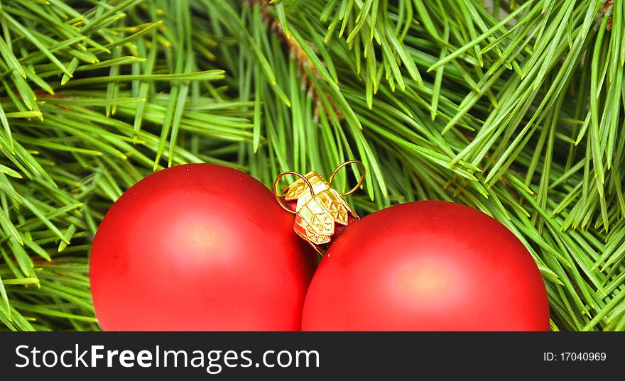 Christmas decoration - red balls on pine branches background