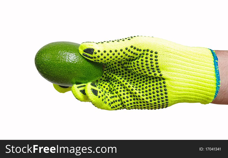 Green avocado in a worker hand isolated on the white surface. Green avocado in a worker hand isolated on the white surface.