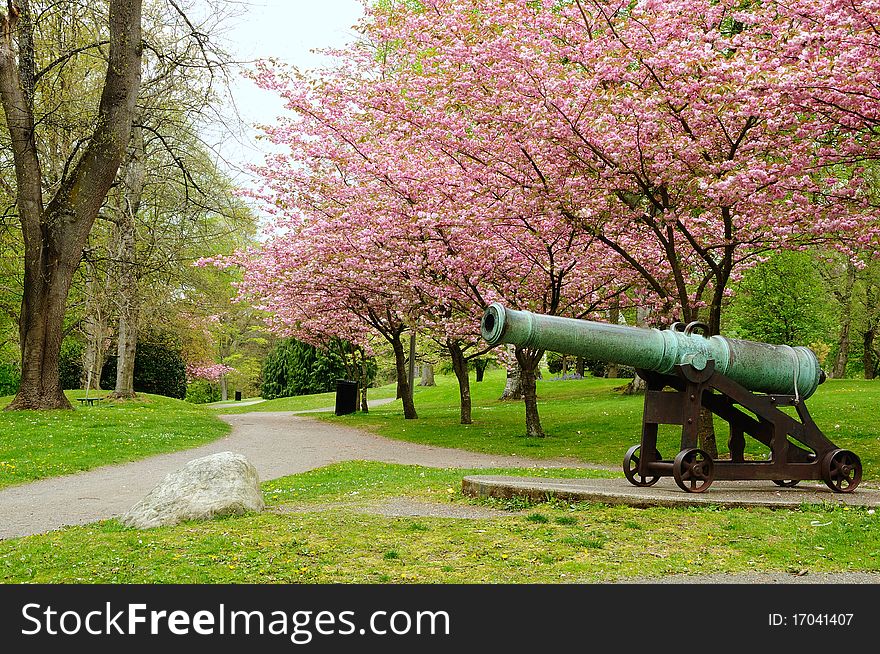 Once a battlefield, now a beautiful park, containing an old war cannon for the memory of civil war veterans in North Carolina. Once a battlefield, now a beautiful park, containing an old war cannon for the memory of civil war veterans in North Carolina