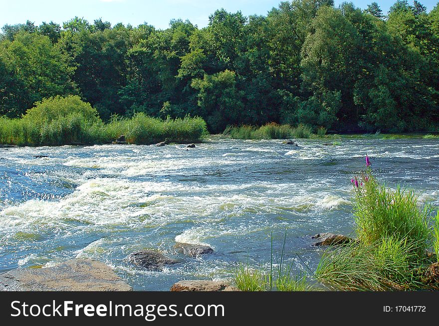 Small river in surroundings trees