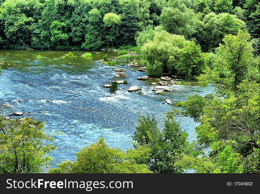 Small river in surroundings trees