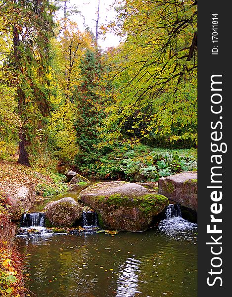 A small river is in the autumn forest