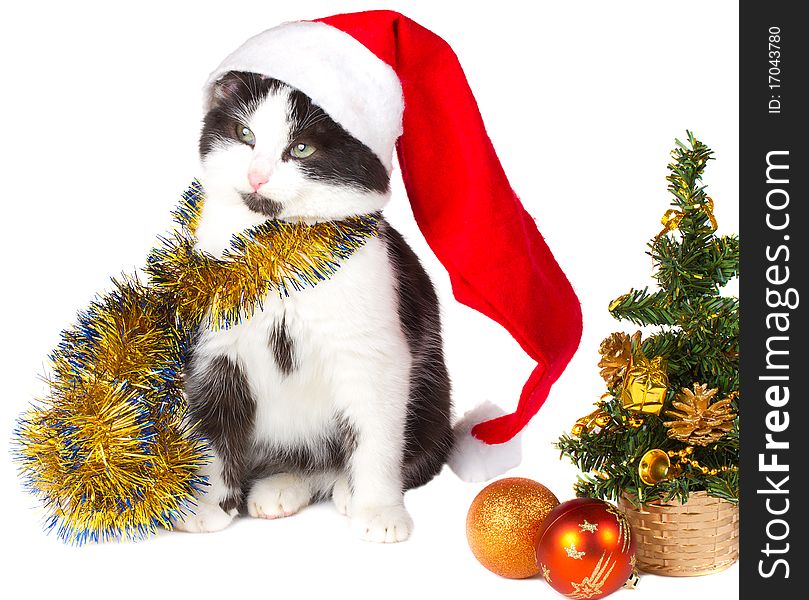 Kitten as Santa Claus and christmas tree