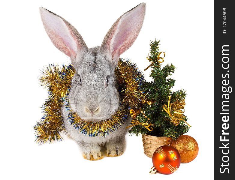 Gray rabbit and christmas decorations