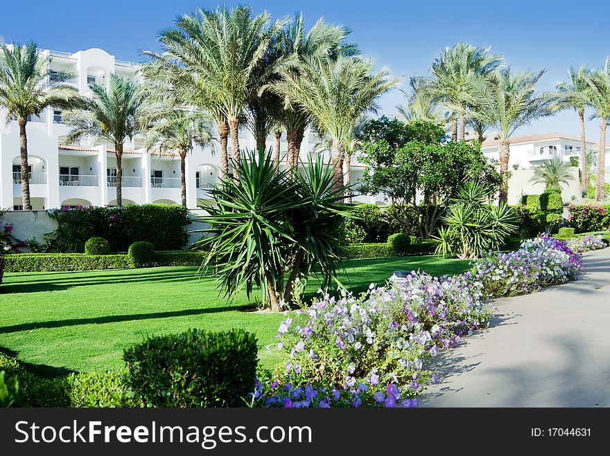 Yard of comfortable hotel with flowers and palm trees. Yard of comfortable hotel with flowers and palm trees