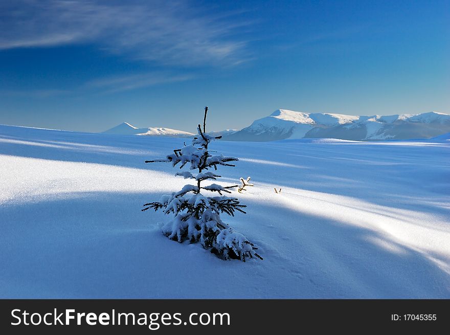 Winter landscape with snow in mountains Carpathians, Ukraine. Winter landscape with snow in mountains Carpathians, Ukraine