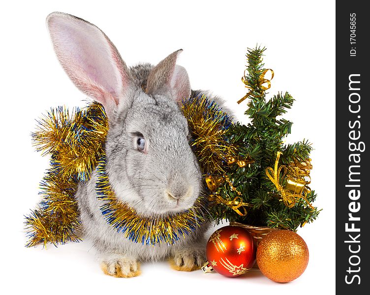 Close-up rabbit and christmas decorations, isolated on white