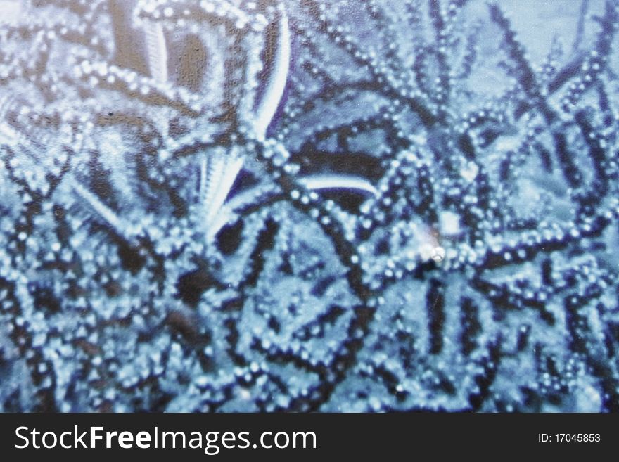Shot of abstract winter background