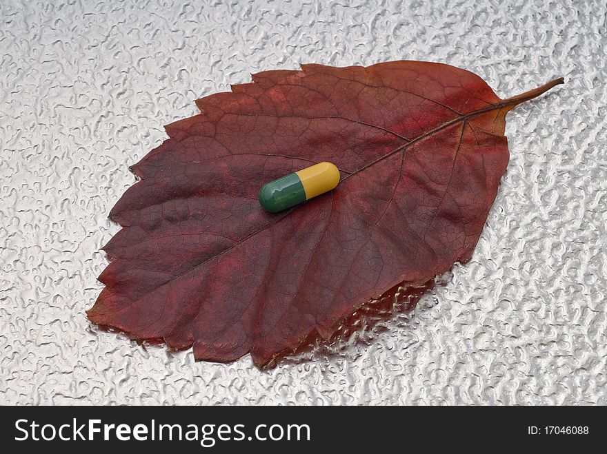 Pill in the middle of a leaf. Pill in the middle of a leaf