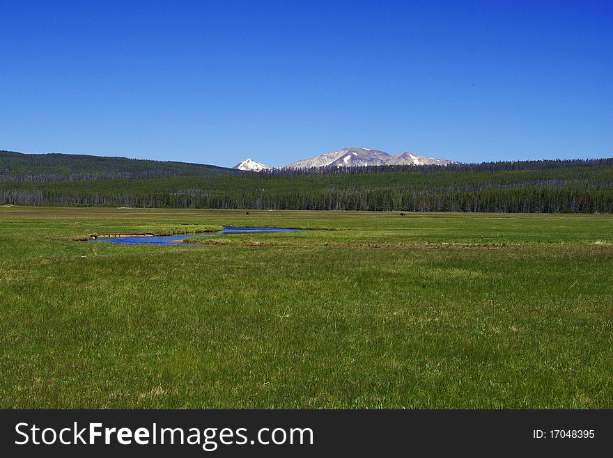 Landscape with a mountain and a green meadow. Landscape with a mountain and a green meadow.