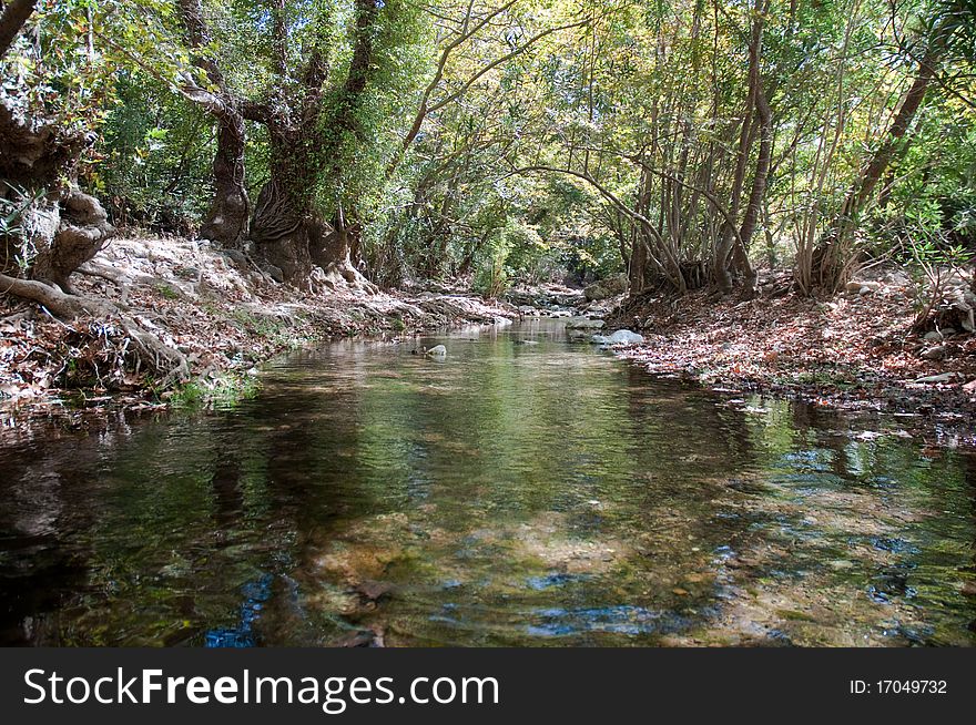 River deep in mountain forest. River deep in mountain forest.