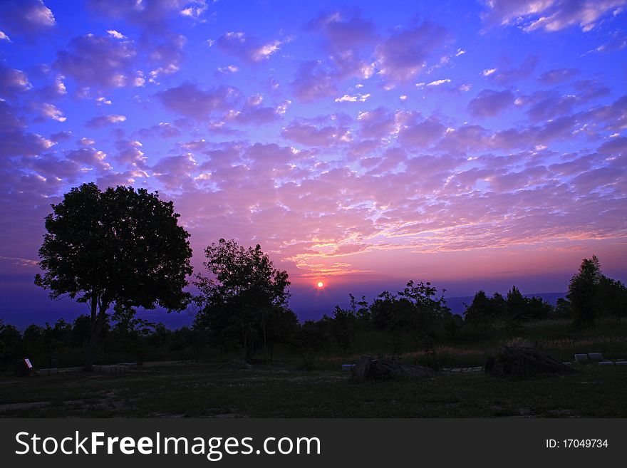 Silhouette of tree with beautiful sunrise