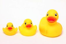 Rubber Ducks Royalty Free Stock Image