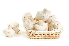 Mushrooms Champignon In Wooden Basket Royalty Free Stock Images Mushrooms Champignon In Wooden Basket Royalty Free Stock Images