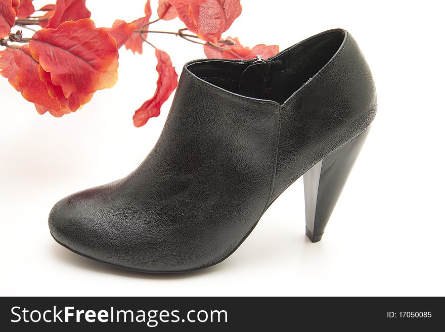 Black lady shoe and leaves