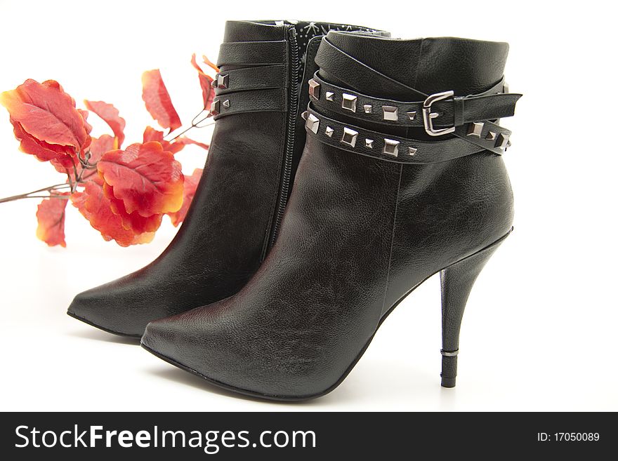 Lady shoes with buckle and on leave. Lady shoes with buckle and on leave