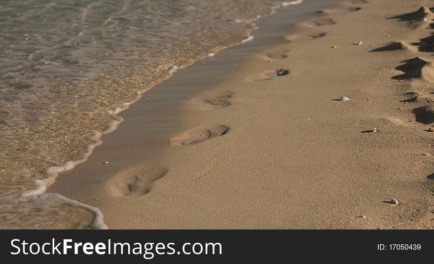 Footprints on the sand along the shore