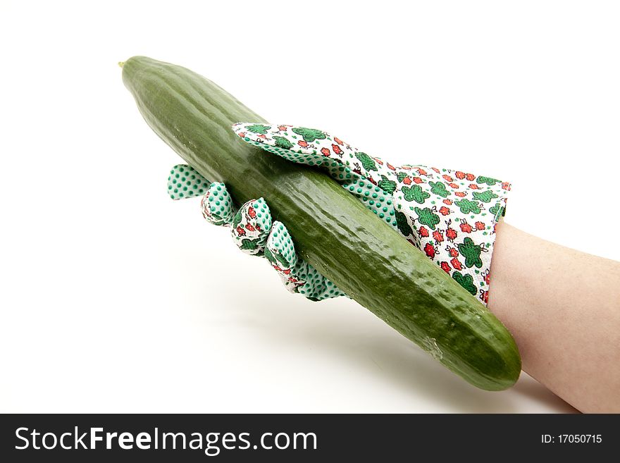 Cucumber in the hand with glove