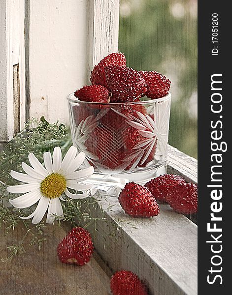 Berries of wild strawberry and a camomile against a window frame. Berries of wild strawberry and a camomile against a window frame