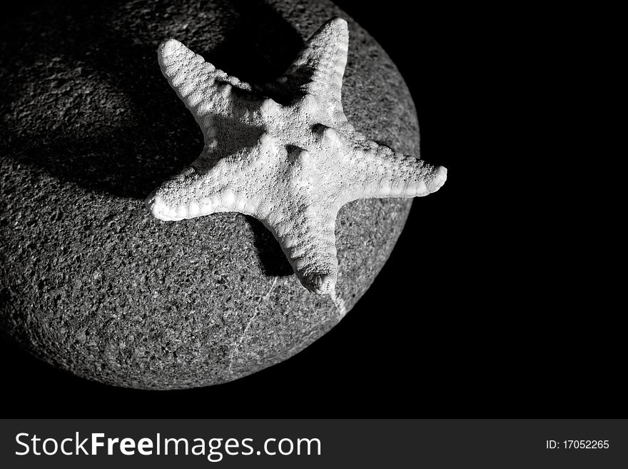 Sea Still-life With Pebble And Starfish