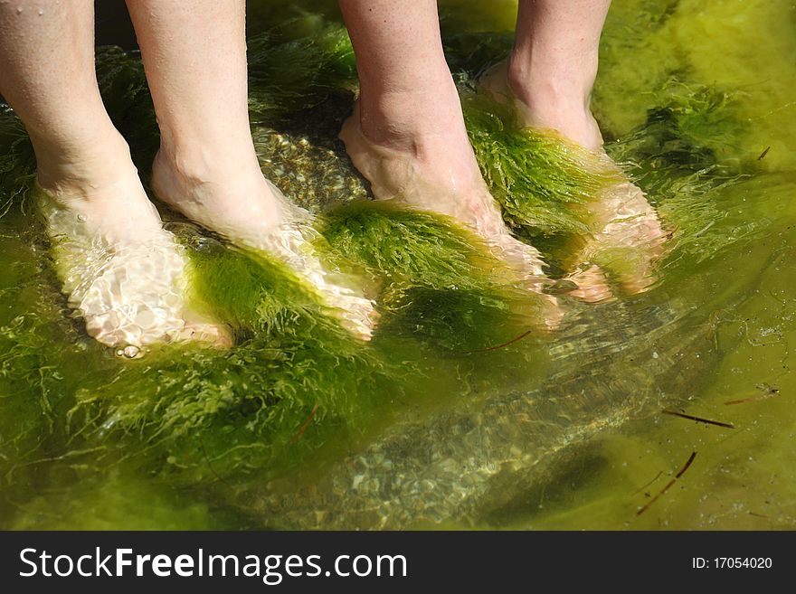 Human foot in the seaweed sea