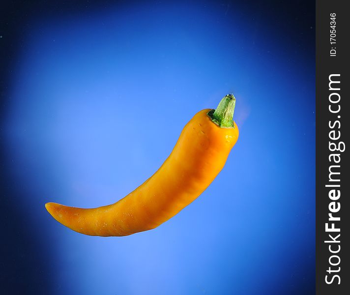 Close up of yellow chilli on blue background