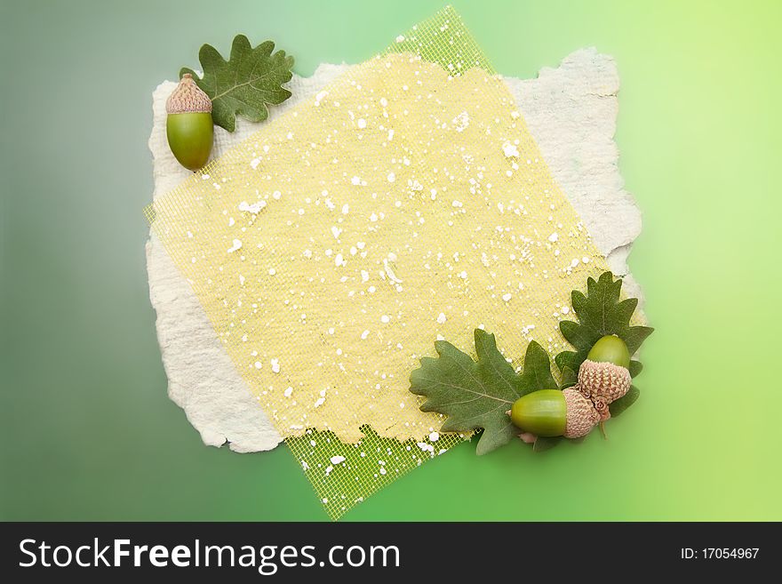 Decorative background with acorns and oak leaves