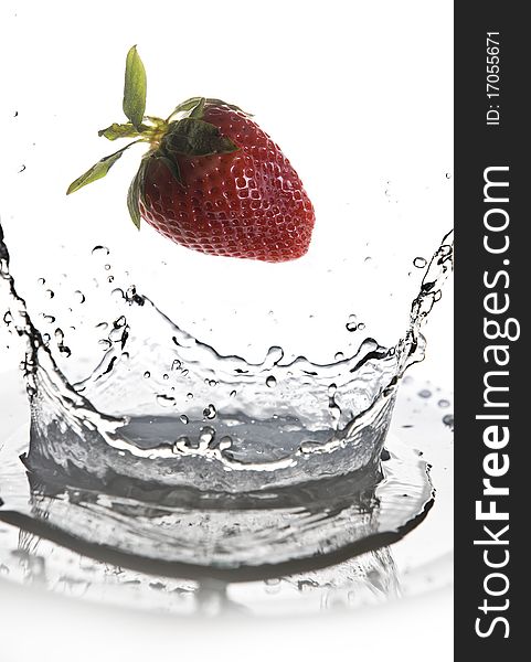 Fruits falling in water on white background