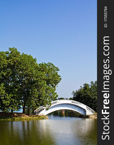 White bridge and tree over the lake in public park in Thailand. White bridge and tree over the lake in public park in Thailand