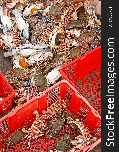 Fresh crabs from fishery boat at port