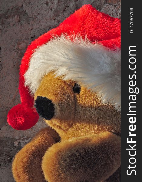 Teddy bears sitting position and wearing a dark mid-cap Christmas. Teddy bears sitting position and wearing a dark mid-cap Christmas