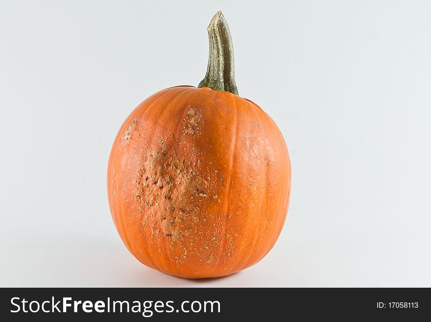 Pumpkin in isolation on a white background. Pumpkin in isolation on a white background