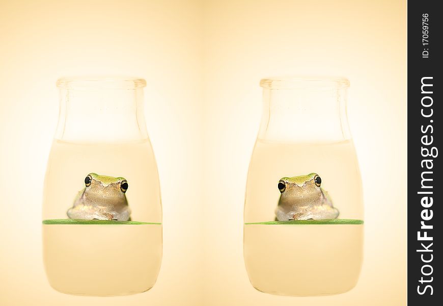 Frog in the bottle for background or others use