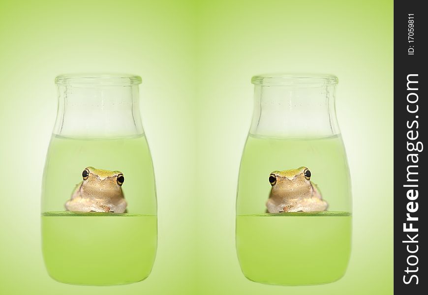 Frog in the bottle for background or others use