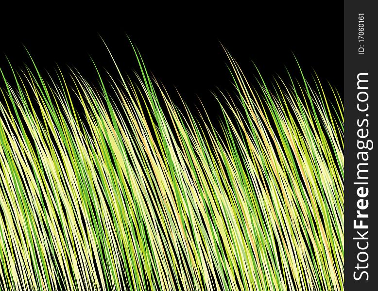 Green grass on a black background. Green grass on a black background