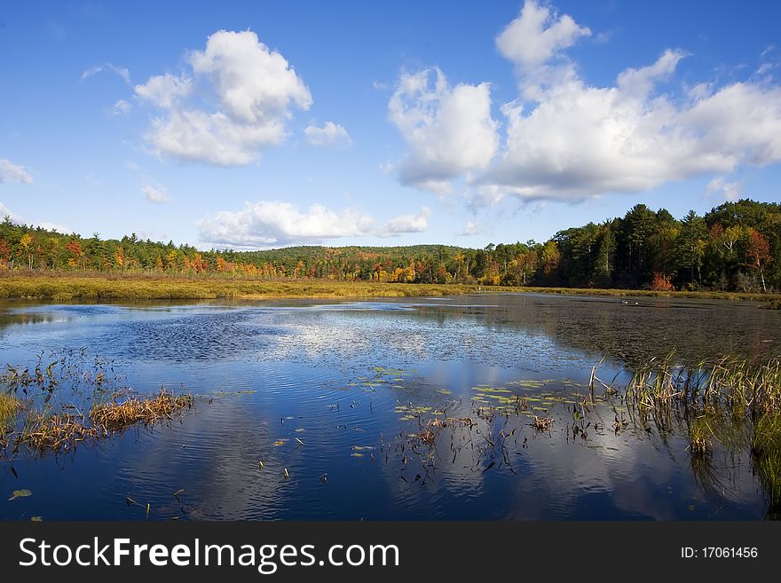 New England Lake In The Autumn