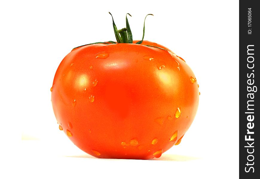 The image of tomato under the white background