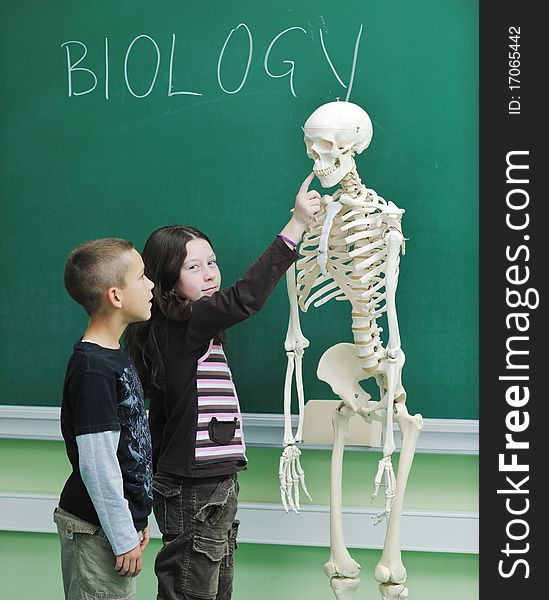 Happy children group in school classrom taking notes and learning biology and anatomy lessons with teacher. Happy children group in school classrom taking notes and learning biology and anatomy lessons with teacher