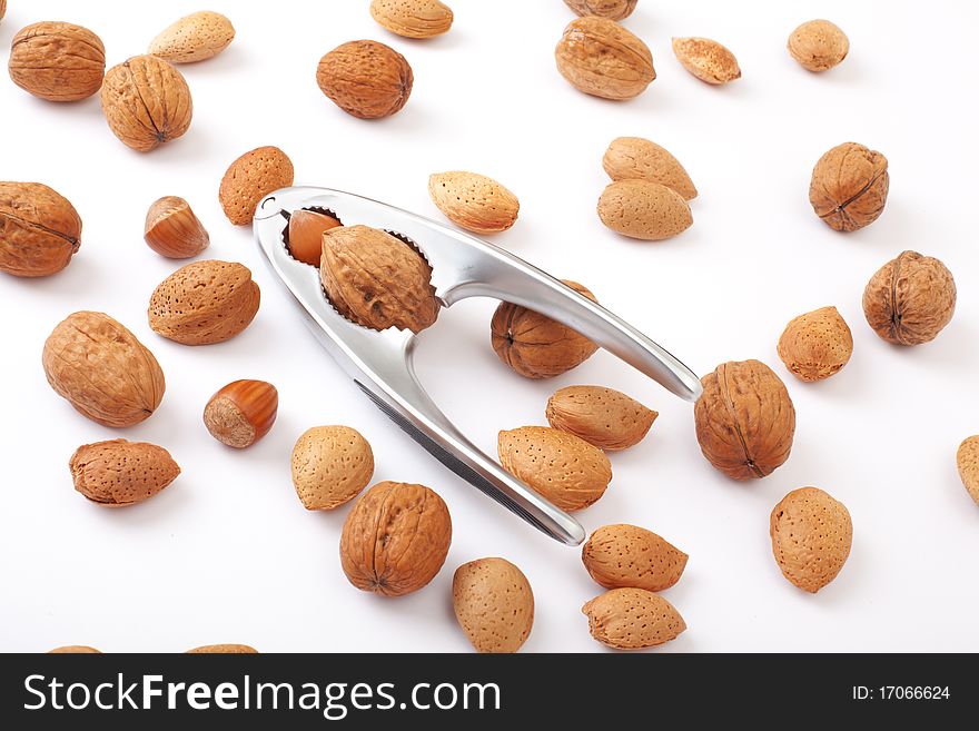 Series. walnut in a nutcracker on white background